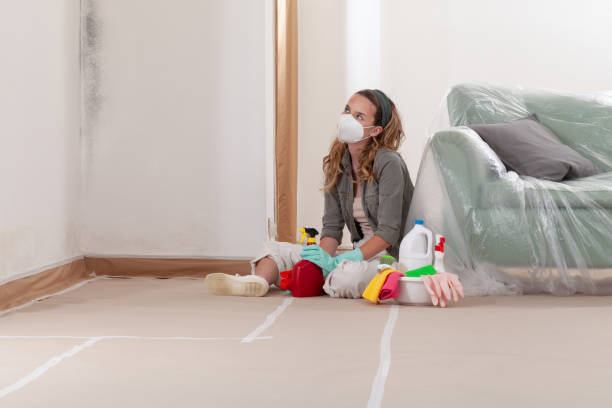 Reliable Mold Removal contractor in Harrington Park, NJ by WQB Mold Removal